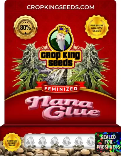 nana-glue-image