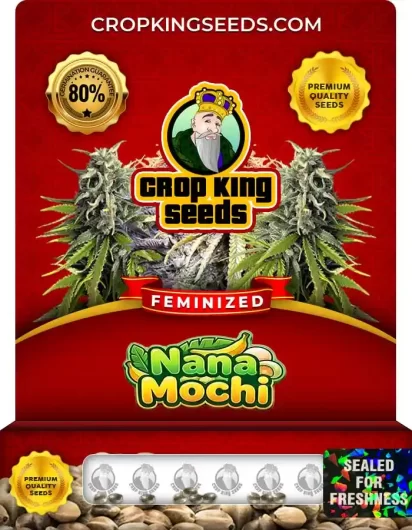 nana-mochi-image