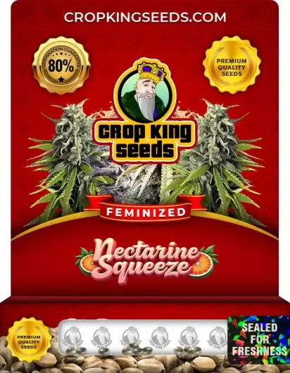 nectarine-squeeze-image