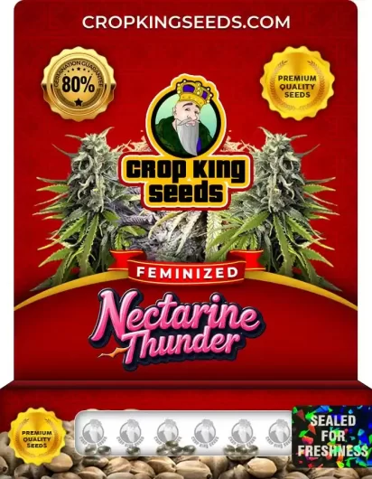 nectarine-thunder-image