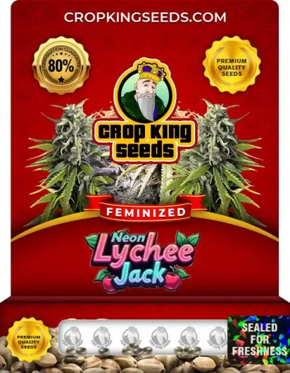 neon-lychee-jack-image