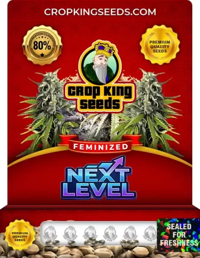 next-level-image