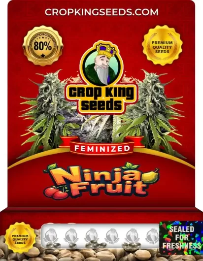 ninja-fruit-image