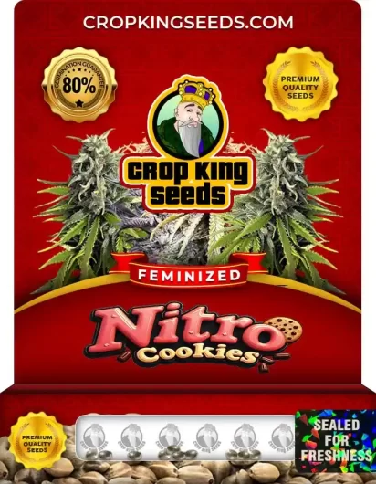 nitro-cookies-image