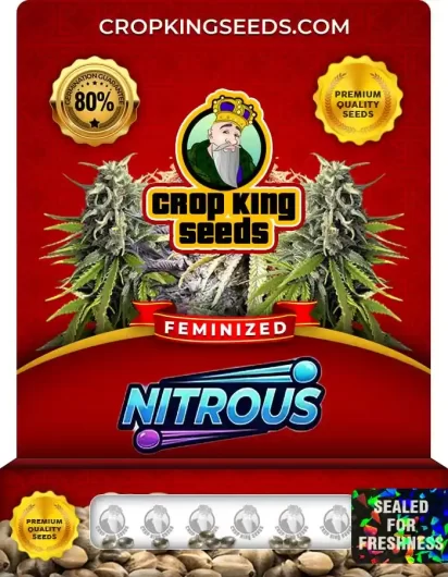 nitrous-image