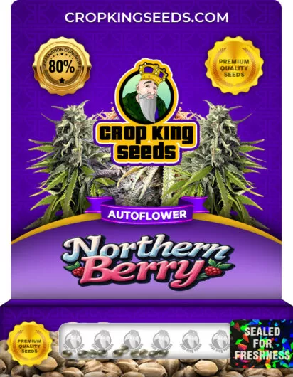 northern-berry-autoflower-image