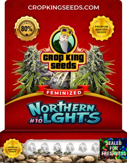 northern-lights-10-image
