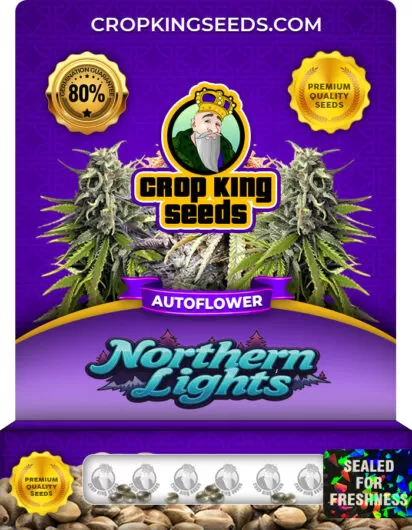 northern-lights-autoflower-image