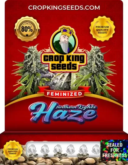 northern-lights-haze-image