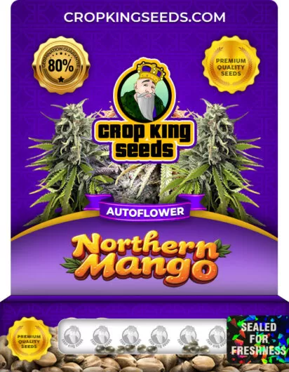 northern-mango-autoflower-image