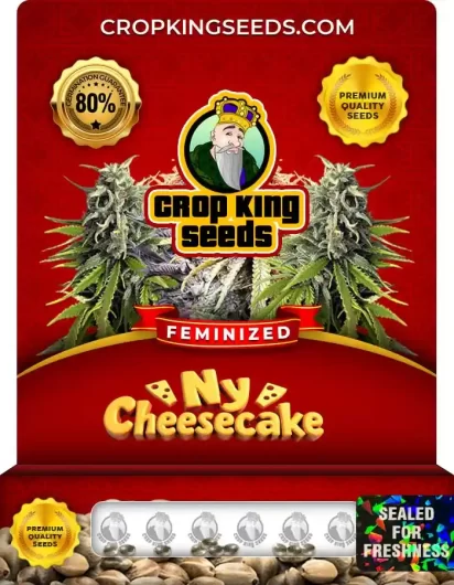 ny-cheesecake-image
