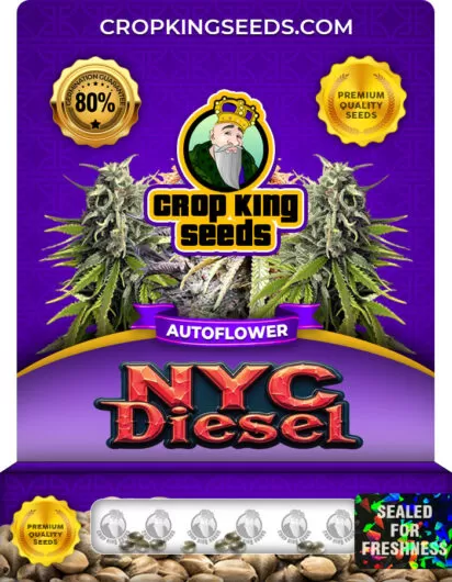nyc-diesel-autoflower-image