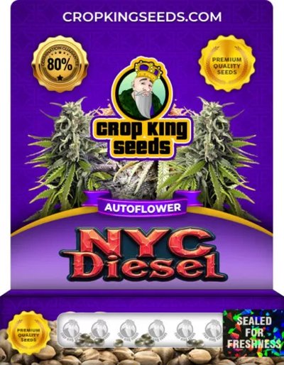 NYC Diesel Autoflower
