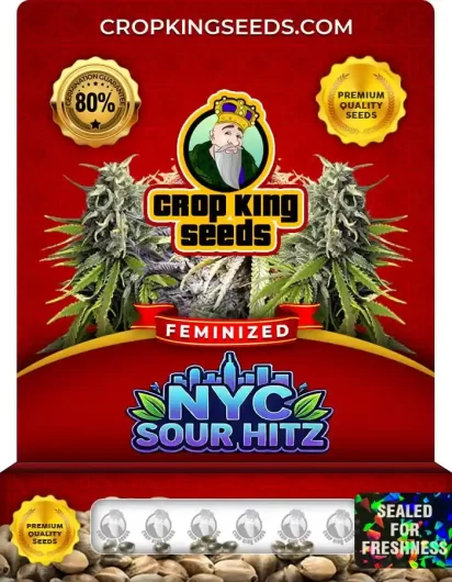 nyc-sour-hitz-image