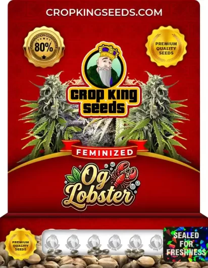 og-lobster-image