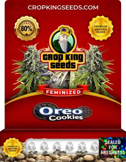 oreo-cookies-feminized-image