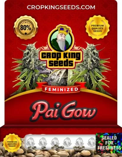 pai-gow-image