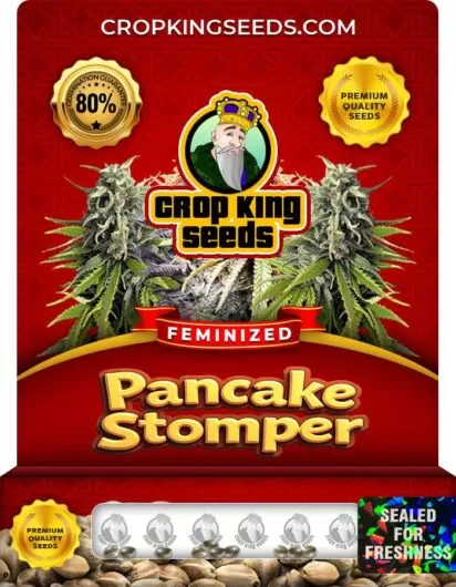 pancake-stomper-image