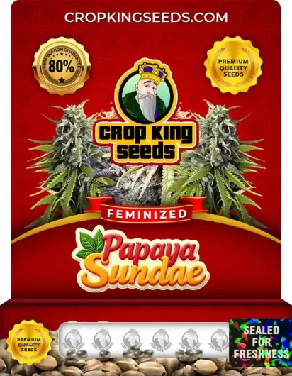 papaya-sundae-image