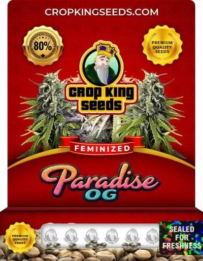 paradise-og-image
