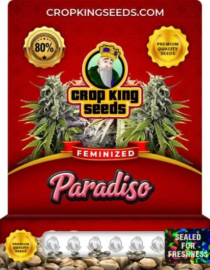 paradiso-image