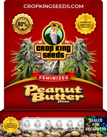 peanut-butter-haze-image