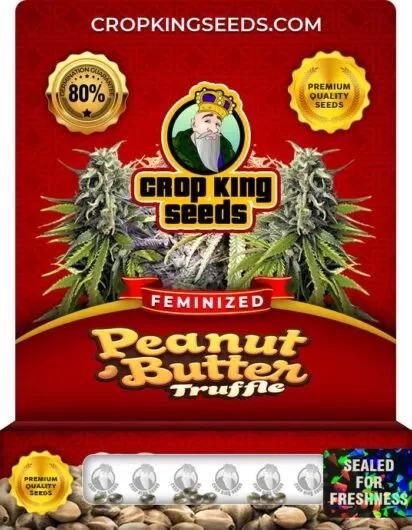 Peanut Butter Truffle