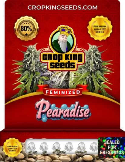 pearadise-image