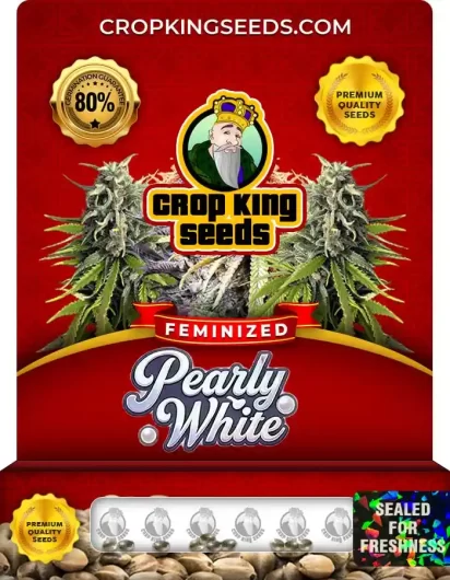 pearly-white-image