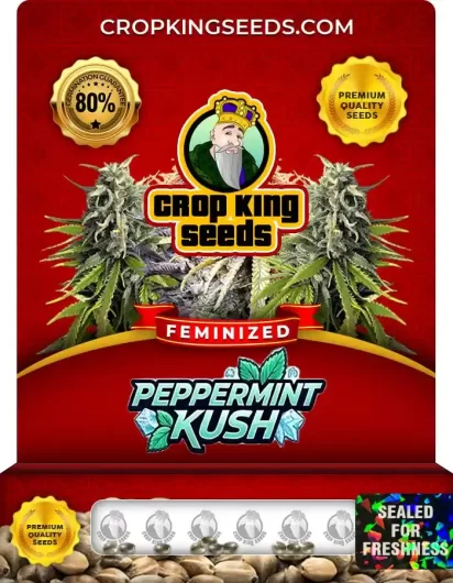 peppermint-kush-image