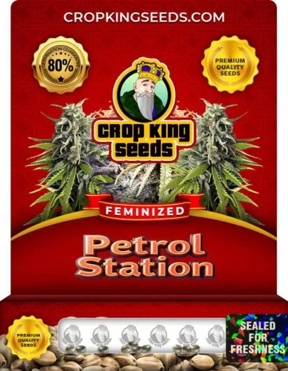 petrol-station-image