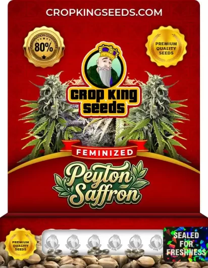 peyton-saffron-image