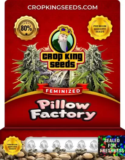 pillow-factory-image