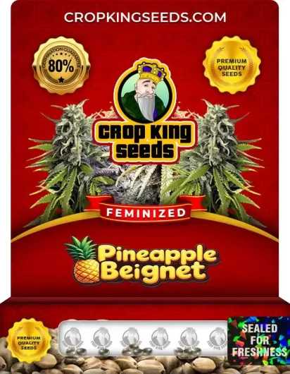 pineapple-beignet-image