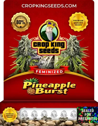 pineapple-burst-image