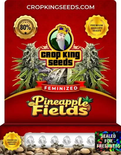 pineapple-fields-image