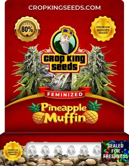 pineapple-muffin-image