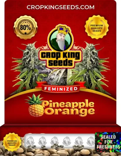 pineapple-orange-image