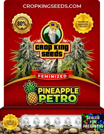 pineapple-petro-image