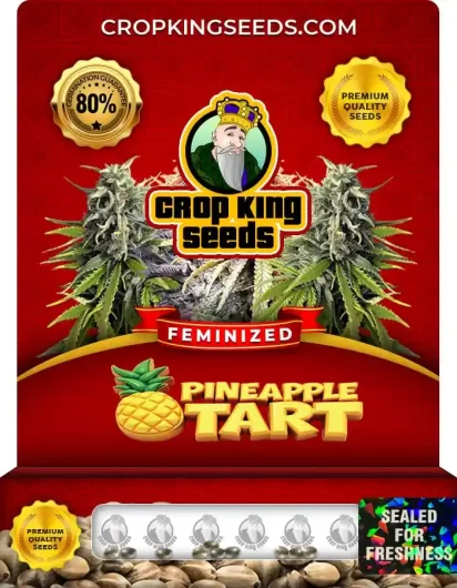 pineapple-tart-image