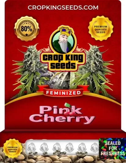 pink-cherry-image