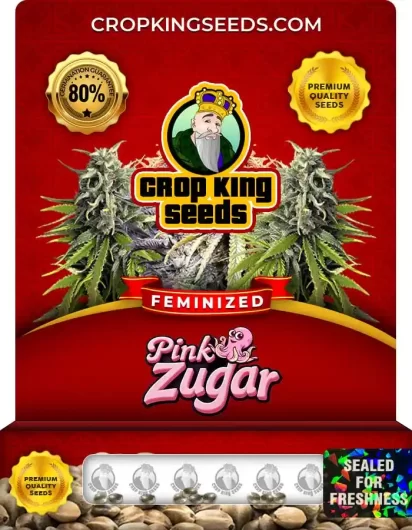 pink-zugar-image