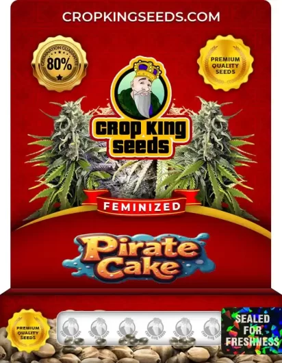 pirate-cake-image