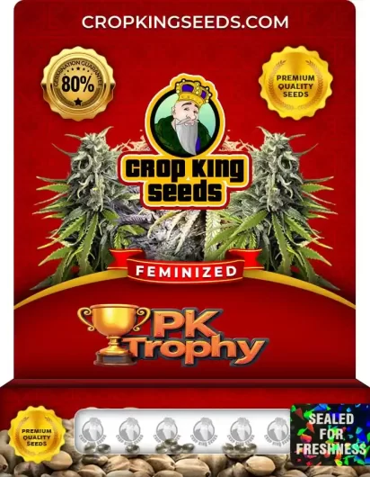 pk-trophy-image