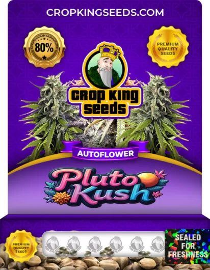 Pluto Kush Autoflower