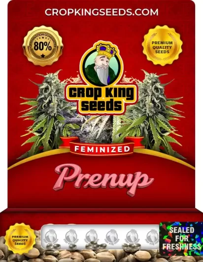 prenup-image