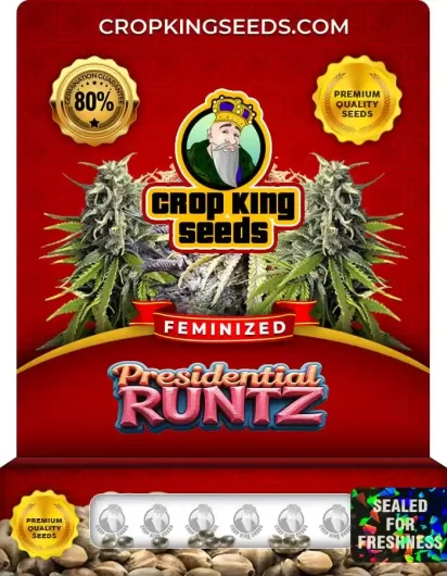 presidential-runtz-image