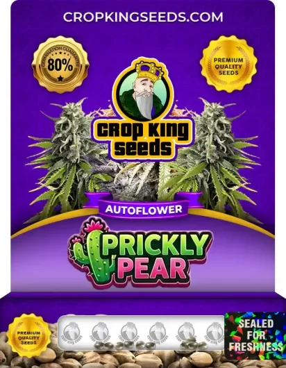 prickly-pear-autoflower-image