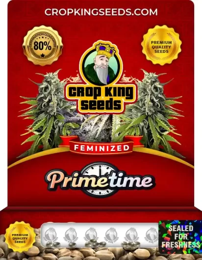 primetime-image