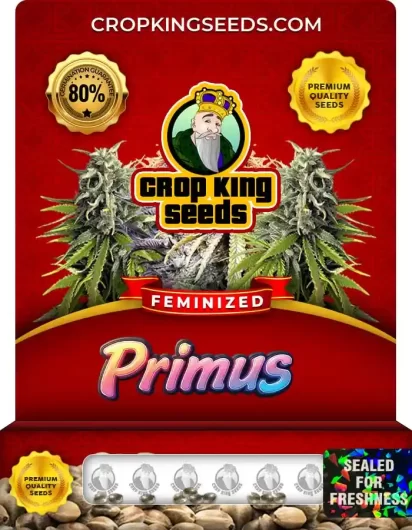 primus-image